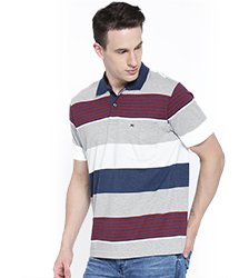 Polo shirt APLS004