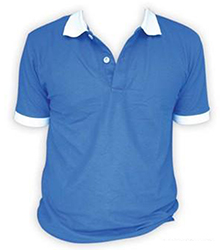 Polo shirt APLS010