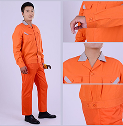 Labour Protection BHLD006